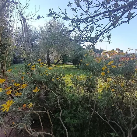 Loft Vicino Roma Con Terrazzo E Giardino Privato Apartamento *