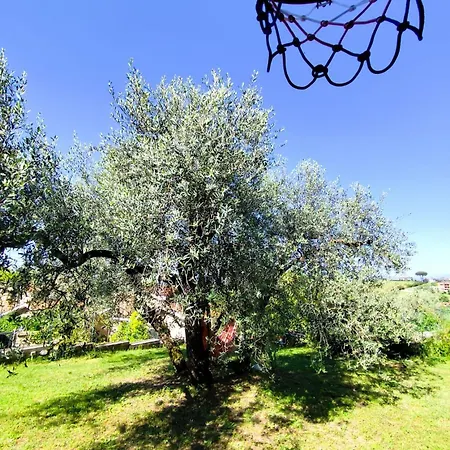 Loft Vicino Roma Con Terrazzo E Giardino Privato